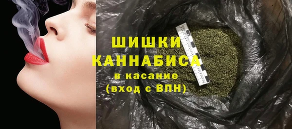 ПСИЛОЦИБИНОВЫЕ ГРИБЫ Абаза