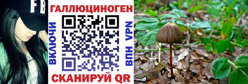 Галлюциногенные грибы мицелий  Архангельск 