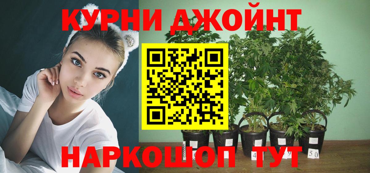 Архангельск  Канабис план  Бошки Шишки планчик  Вход с VPN 
